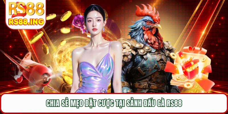 Chia sẻ mẹo đặt cược tại sảnh đấu gà RS88