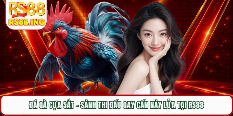 Đá Gà Cựa Sắt - Sảnh Thi Đấu Gay Cấn Nảy Lửa Tại RS88