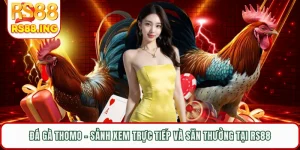 Đá Gà Thomo - Sảnh Xem Trực Tiếp Và Săn Thưởng Tại RS88